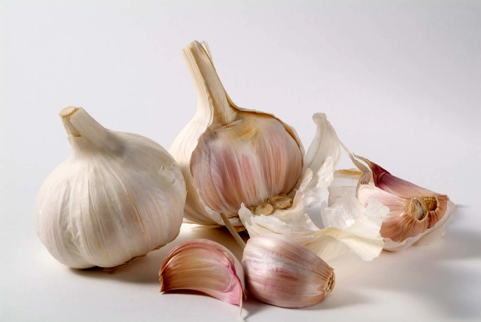 Fresh garlic bulbs