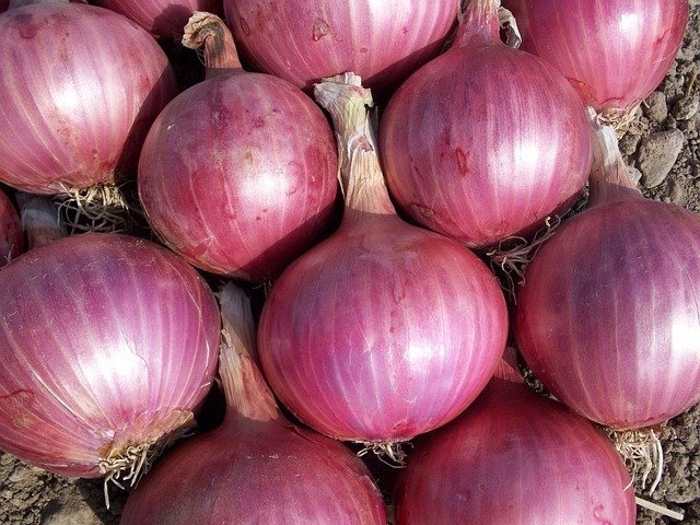 Fresh red and white onions